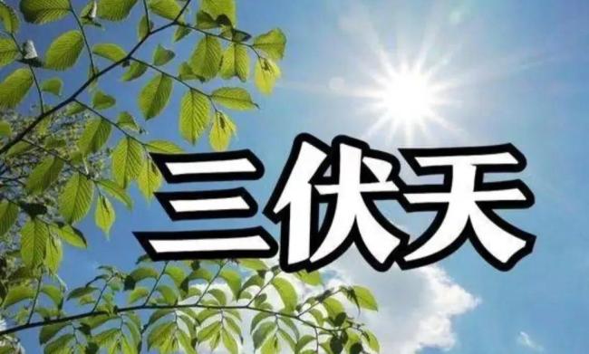 “夏天热不热，就看三月二十”