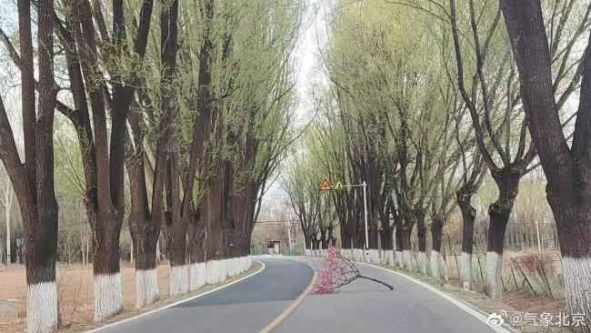 大风橙色预警中！北京今天有扬沙，山区局地雨夹雪或小雪