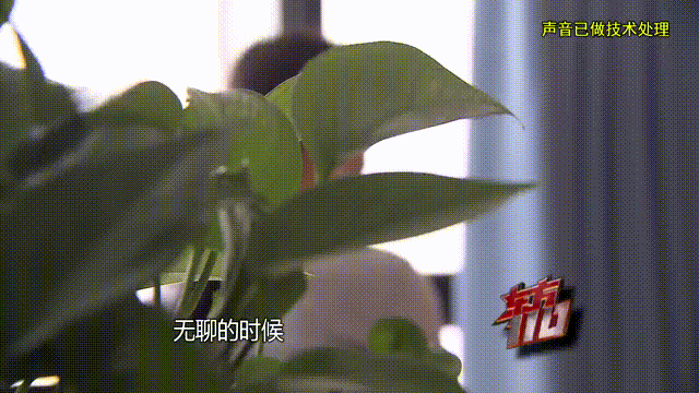 37岁女子倾尽百万、泡面果腹！仍坚持转账：帮他有种使命感