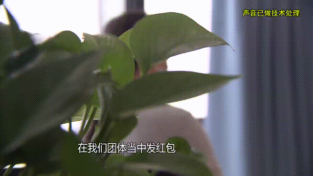 37岁女子倾尽百万、泡面果腹！仍坚持转账：帮他有种使命感
