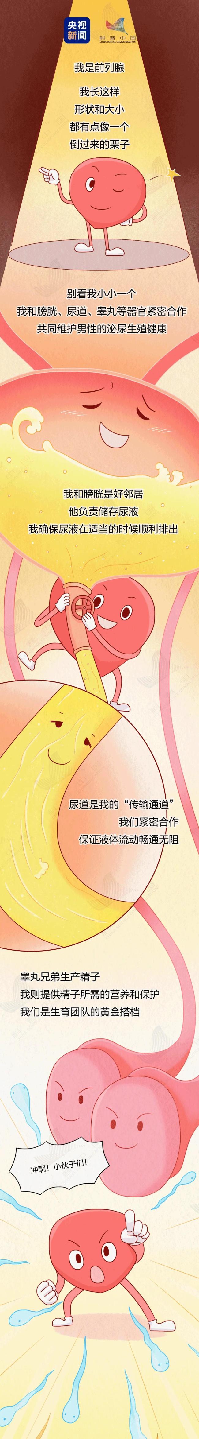 前列腺癌早期症状隐匿