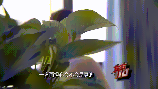 37岁女子倾尽百万、泡面果腹！仍坚持转账：帮他有种使命感