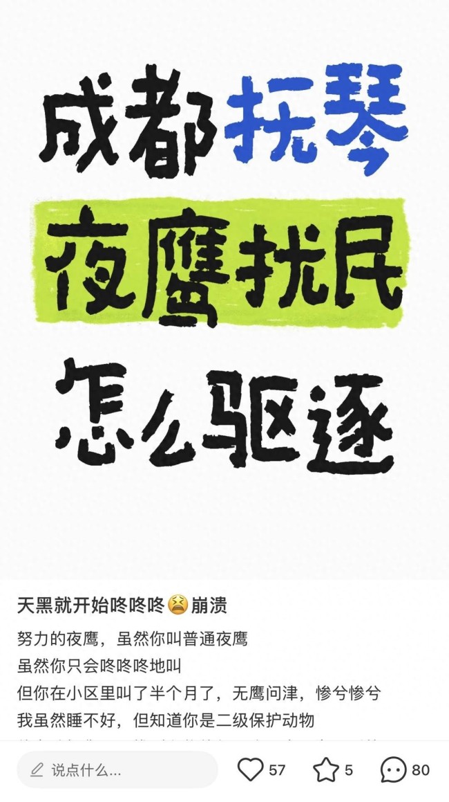 专家谈成都多地惊现神秘“哒哒”声 夜鹰唱情歌扰民