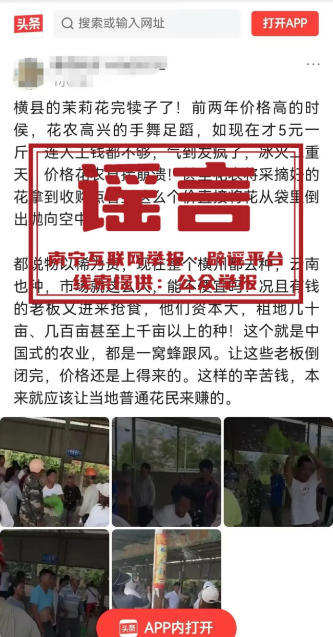 广西横州花农倒花不卖？回应来了