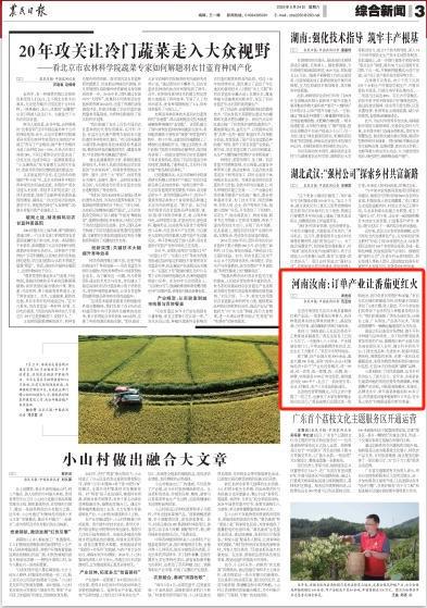 央媒看河南 | 关注河南抢收小麦、促进就业等内容