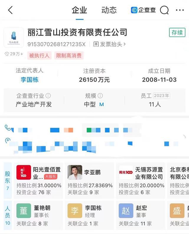 李亚鹏持股公司遭强执，执行标的244万