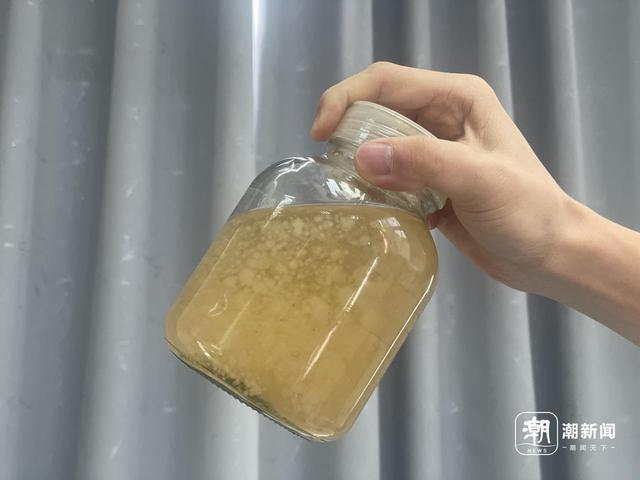 网友投喂的“菌王”，成了中科院研究员的“宝贝”