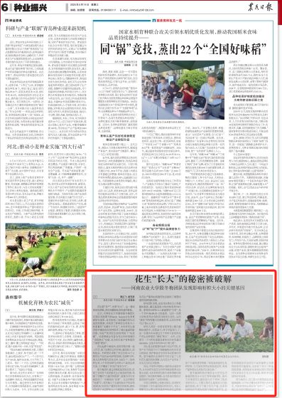 央媒看河南 | 关注河南商丘、滑县等地多举措应对干热风