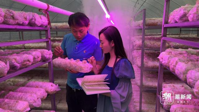网友投喂的“菌王”，成了中科院研究员的“宝贝”