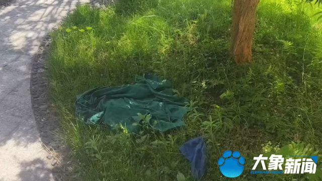 记者暗访长沙非法代孕地下“生育工厂”