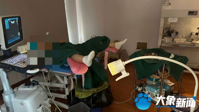 记者暗访长沙非法代孕地下“生育工厂”