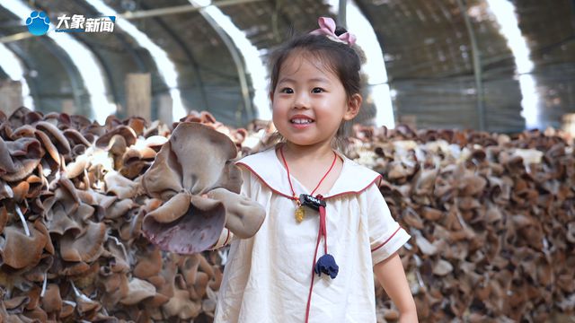 新乡：“菌”临其境 中原农谷首届木耳采摘节“新鲜上线”