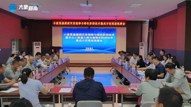 从“不可治”到“有救了”！我国小麦茎基腐病防控技术获突破