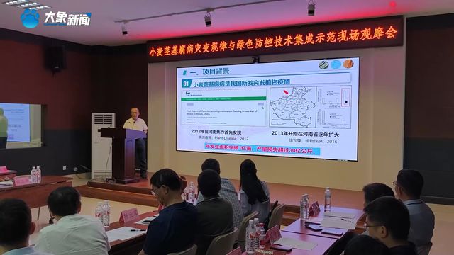 从“不可治”到“有救了”！我国小麦茎基腐病防控技术获突破
