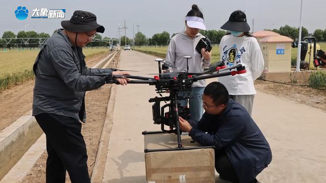 从“不可治”到“有救了”！我国小麦茎基腐病防控技术获突破