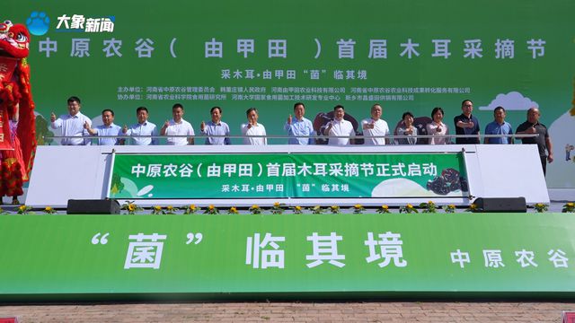 新乡：“菌”临其境 中原农谷首届木耳采摘节“新鲜上线”