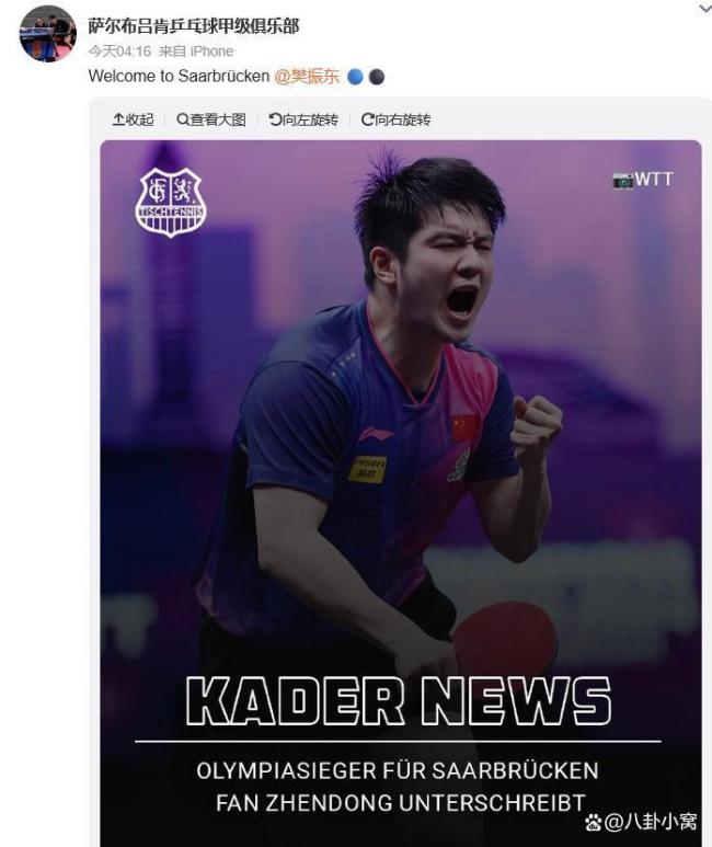沪媒评樊振东留洋德国