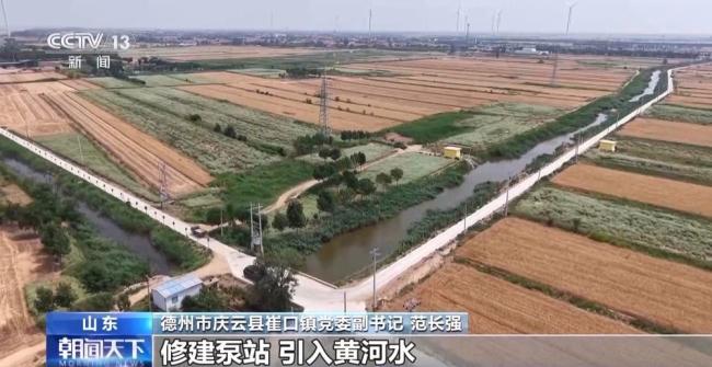盐分降一半多 产量涨25% 看盐碱地如何变身“丰收田”