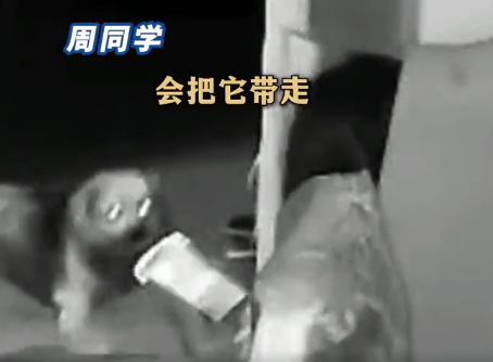 去世爷爷养的小狗凌晨跑3公里找主人只为见女生一面