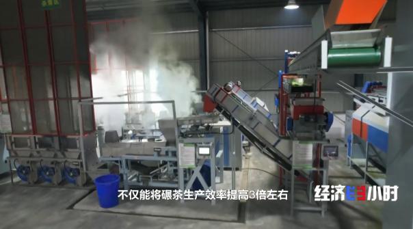 中国是全球最大的抹茶生产国！全国四分之一的抹茶产自这里