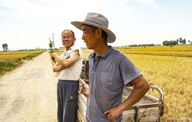 孙子开车3000多里帮爷爷收4亩麦子 跨越千里的深情对话