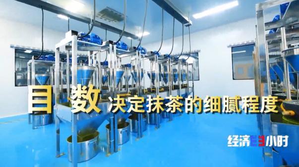 中国是全球最大的抹茶生产国！全国四分之一的抹茶产自这里