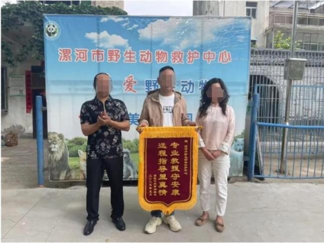 男子被蝮蛇咬伤 发现全市无适配血清 紧急寻医跨城救治