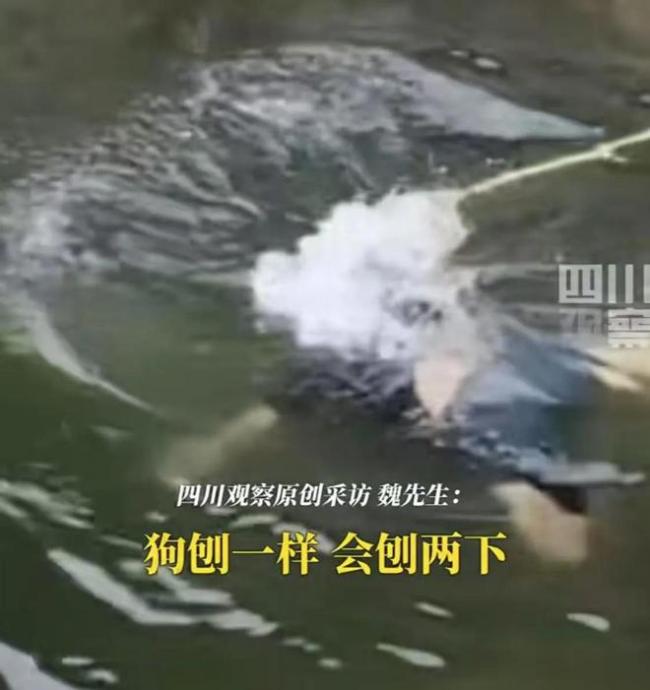 男孩野泳溺水沉底近半小时身亡 好心人施救未果