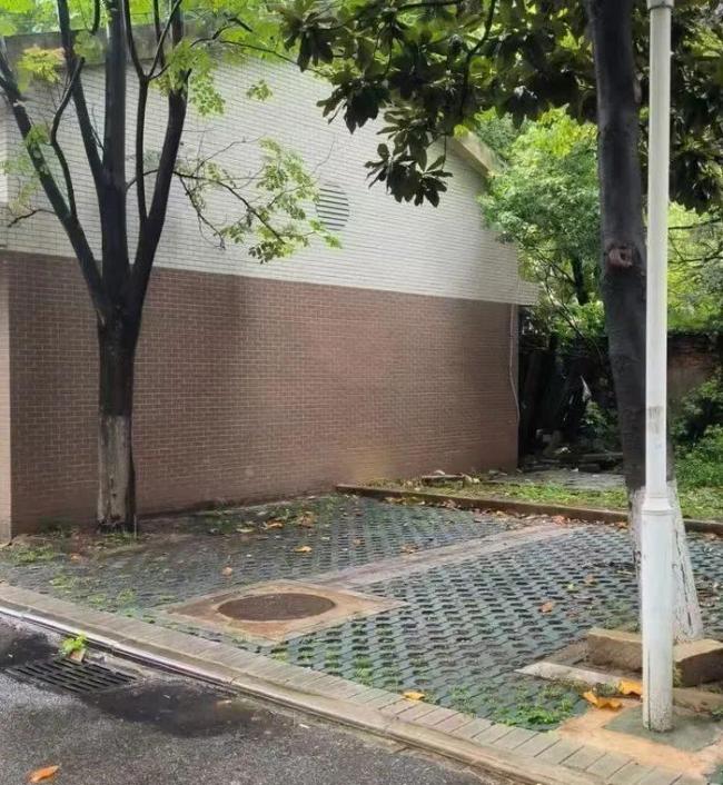 副教授遭精神病人杀害背后 民事赔偿争议再起波澜