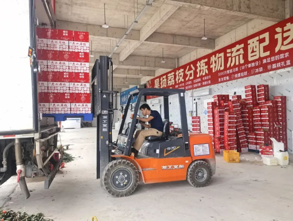 “广西灵山荔枝堆积如山，只能贱卖”？真相是
