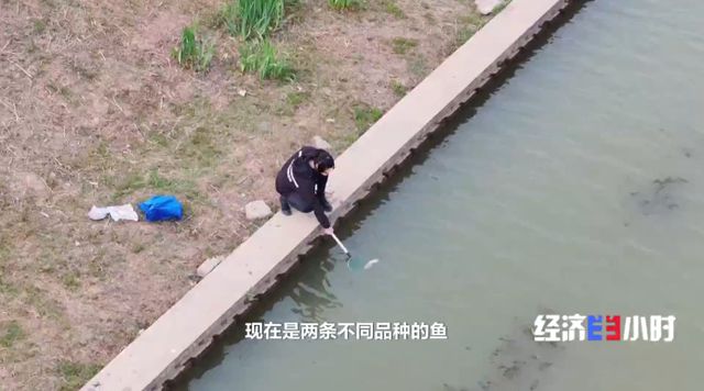 急缺人！这些新职业爆火，好多新工作等你来