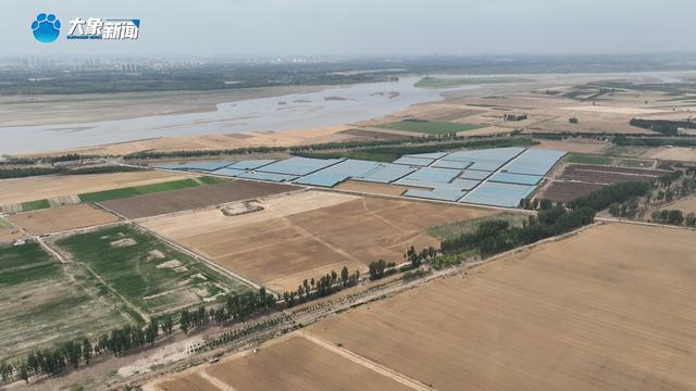 战三夏 保丰收丨新乡：中低产田“逆袭” 亩均增产15%