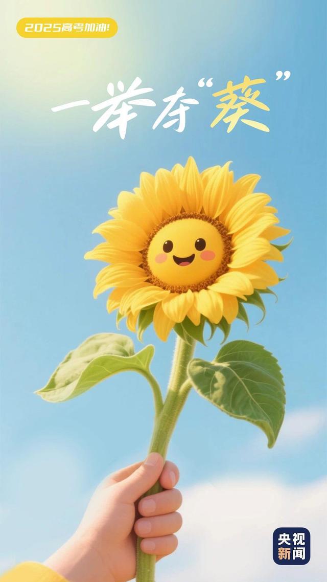 今天，为1335万条“锦鲤”加油！