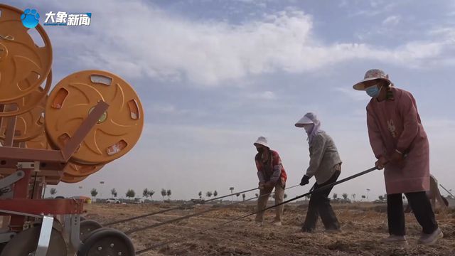 新乡：智慧农机助力“三夏”提速增效