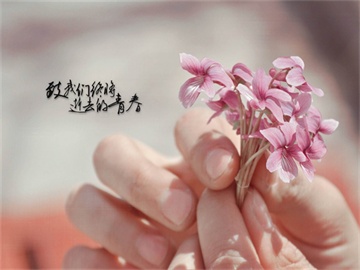 美国大使称美加双赢协议触手可及