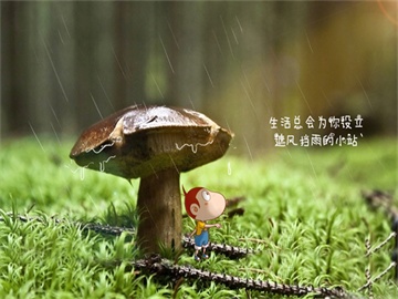 《恶意》导演称张小斐内核强大